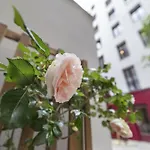 Alpohi