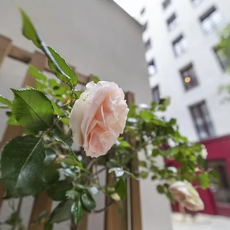 Alpohi Apartment